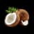 Coconut
